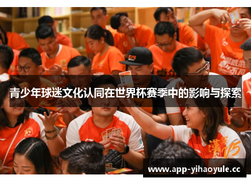 青少年球迷文化认同在世界杯赛季中的影响与探索