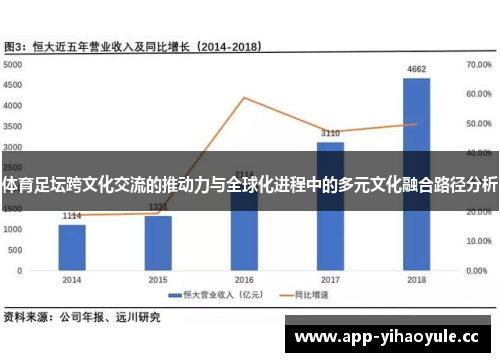 体育足坛跨文化交流的推动力与全球化进程中的多元文化融合路径分析