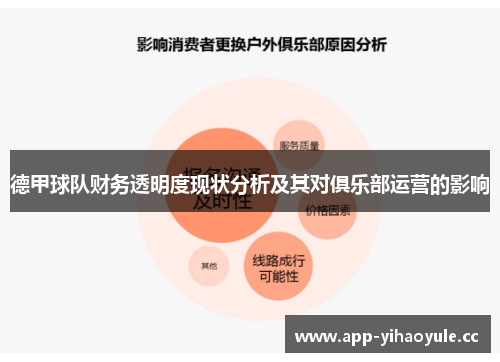 德甲球队财务透明度现状分析及其对俱乐部运营的影响
