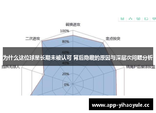 为什么这位球星长期未被认可 背后隐藏的原因与深层次问题分析