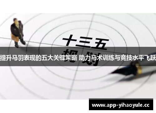提升马羽表现的五大关键策略 助力马术训练与竞技水平飞跃