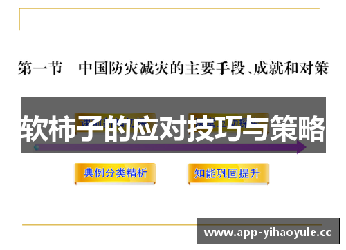 软柿子的应对技巧与策略