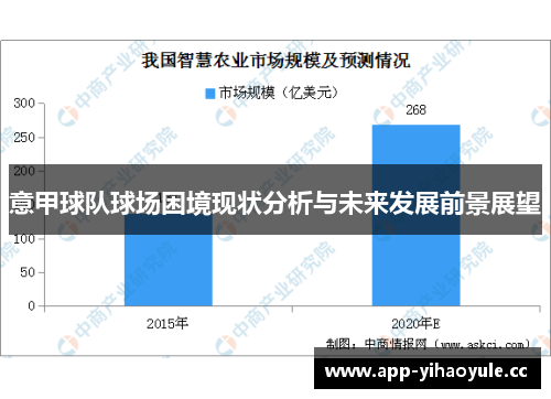 意甲球队球场困境现状分析与未来发展前景展望 意甲球队球场困境现状分析与未来发展前景展望